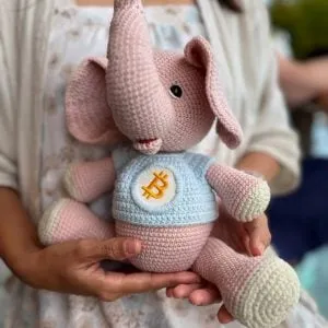 Chubby Bitcoiner — Bitcoin Elephant 🐘.jpeg