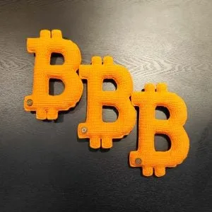 Chubby Bitcoiner — Bitcoin Logo.jpeg